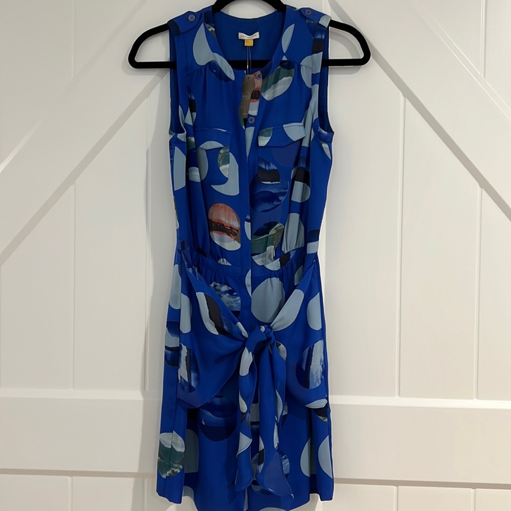 Silk blue button down dress